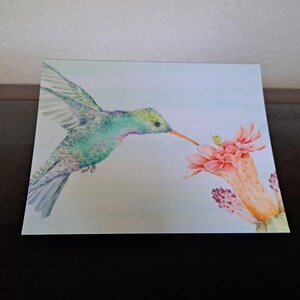 Note or Greeting Cards. Set of 5.  Broad-billed Hummingbird on a Cactus Bloom. Blank Inside 5.5&quot; x 4.5&quot; Premium Paper with White Envelopes