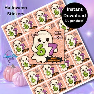 May include: Sheet of Halloween stickers featuring a cute ghost holding the number 6 and 7. The stickers have the text "Hey Boo!" and "Happy Halloween!". The stickers are peach-colored with a repeating pattern.