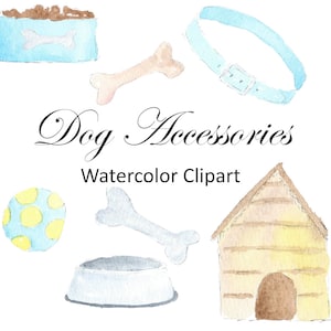 Dog Accessories Watercolor Clipart, Pet Clip Art, Hand Painted PNG Watercolor Graphics, Digital Images