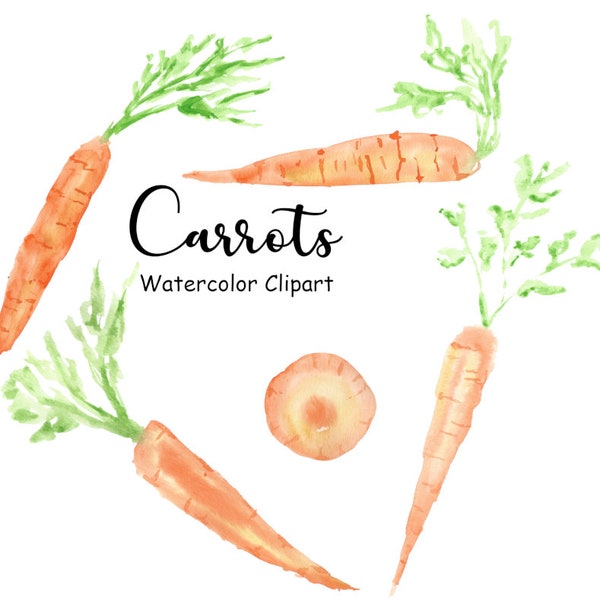 Watercolor Carrots, 5 Hand Painted PNG Watercolor Vegetables Graphics, Commercial Use, Watercolor Food Icons, Digital Images