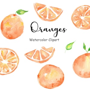 Watercolor Oranges Clipart, 8 Hand Painted PNG Watercolor Fruit Graphics, Commercial Use, Watercolor Food Icons, Digital Images