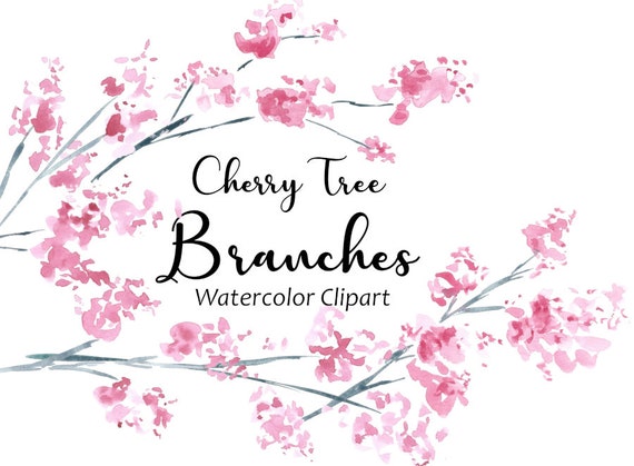 Cherry Tree Branch Watercolor Clipart Cherry Blossom Flower Etsy