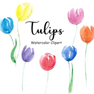 Tulips Watercolor Flower Clipart, 9 Hand Painted Clip Art PNG Watercolor Graphics, Commercial Use, Digital Images