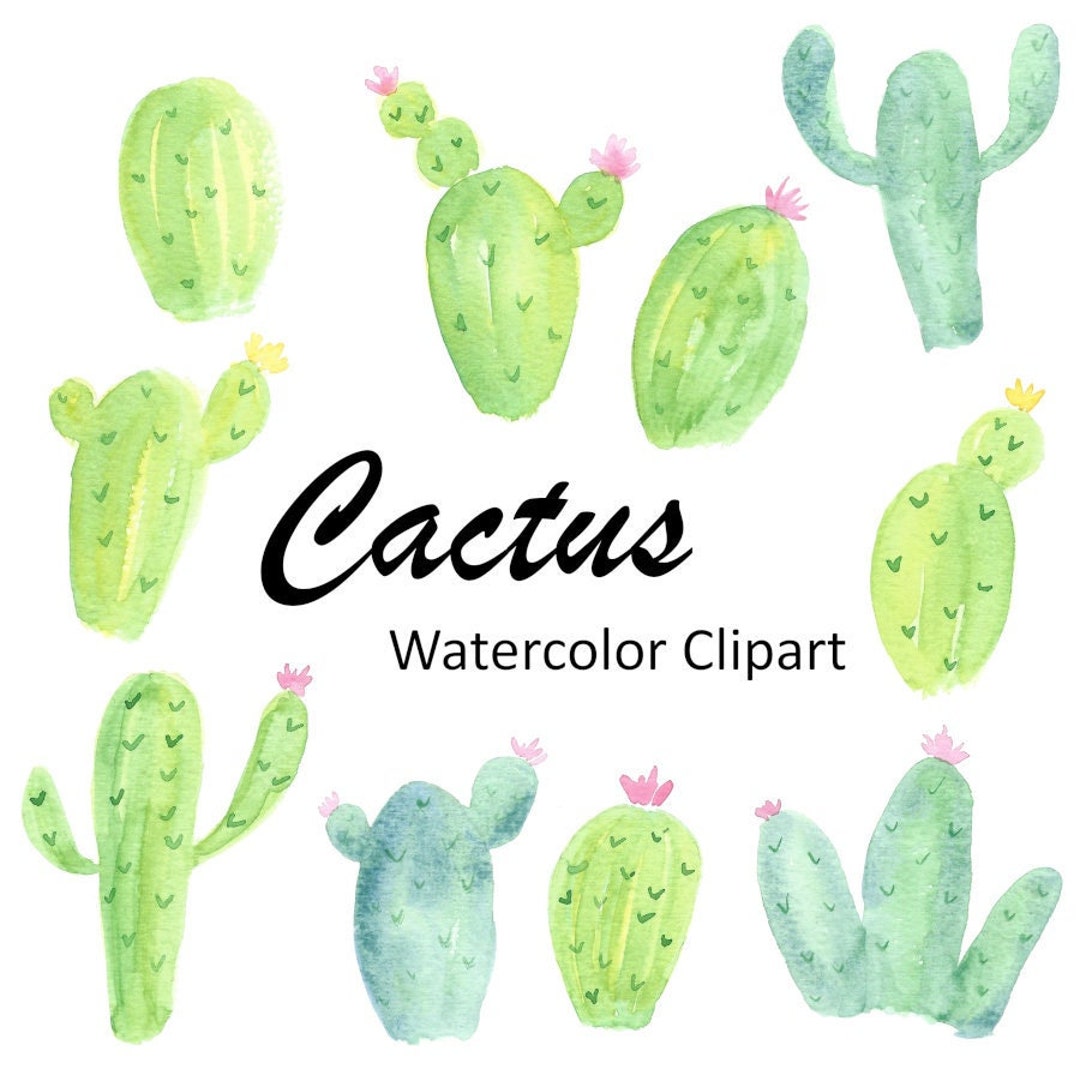 Watercolor Cactus Clipart, 10 Hand Painted PNG Tropical Watercolor ...