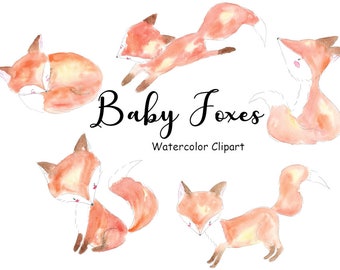 Baby Foxes Watercolor Clipart, 5 Hand Painted PNG Cute Watercolor Animal Graphics Commercial Use, Digital Images