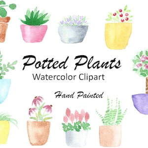 Watercolor Potted Plants Clipart, 10 Hand Painted PNG Flower Watercolor Graphics, Plant Pot Clip Art, Commercial Use, Digital Download