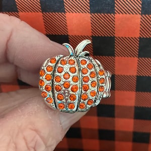 May include: A silver pumpkin charm with orange rhinestones. The charm is a popular accessory for jewelry making and crafting.