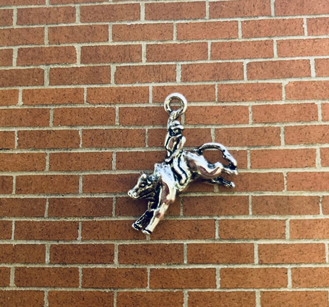 Bull Rider Charms, Bull Charms, Steer Charms, Rodeo Charms 6 or 12 Charms Etsy
