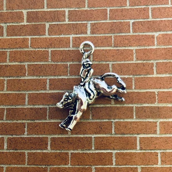 Bull Rider Charms, Bull Charms, Steer Charms, Rodeo Charms 6 or 12 Charms