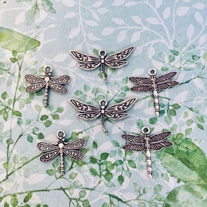 May include: Six silver dragonfly charms with intricate designs. The charms are perfect for jewelry making, scrapbooking, and other craft projects.