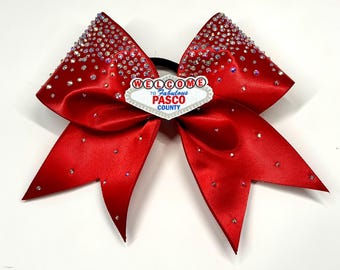 Pasco County Elite All Levels Team Bow