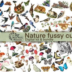 Nature Fussy Cuts para collage, efímera de diario basura, páginas imprimibles digitales