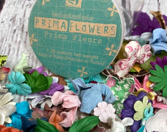 Prima flowers