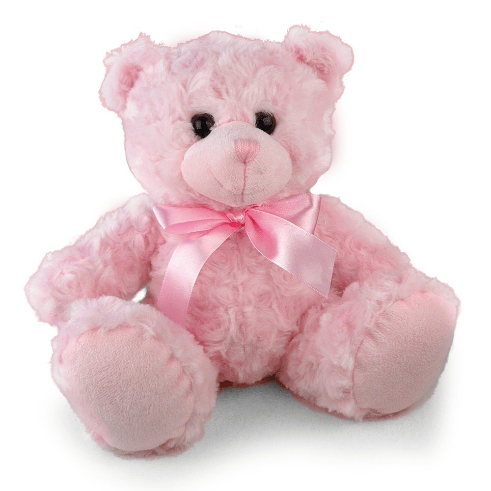 fluffy pink teddy bear