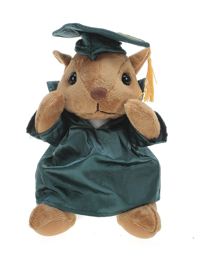 12 Inch Graduation Squirrel Stuffed Animal Toys for Graduation Day, Personalized Text, Name or Your School Logo on Gown Forest Green