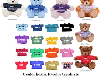 Personalized tee shirt teddy bear 11" birthday gift for her him, beige bear, choose your shirt color for friends