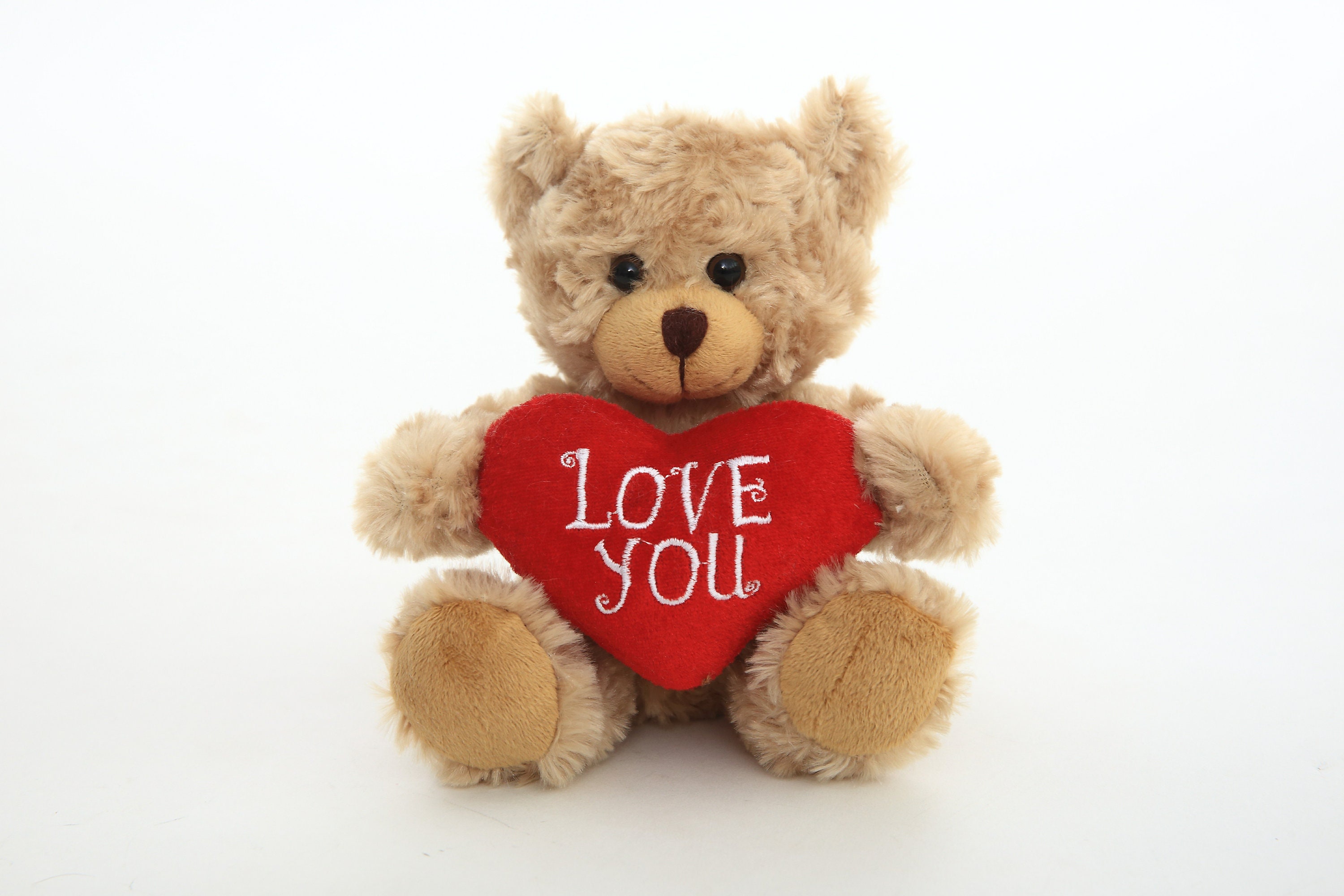 Oso de peluche para el día de San Valentín, oso de peluche de 10 pulgadas  con almohada de corazón rojo para ella, él, novia, novio, bebés, niños