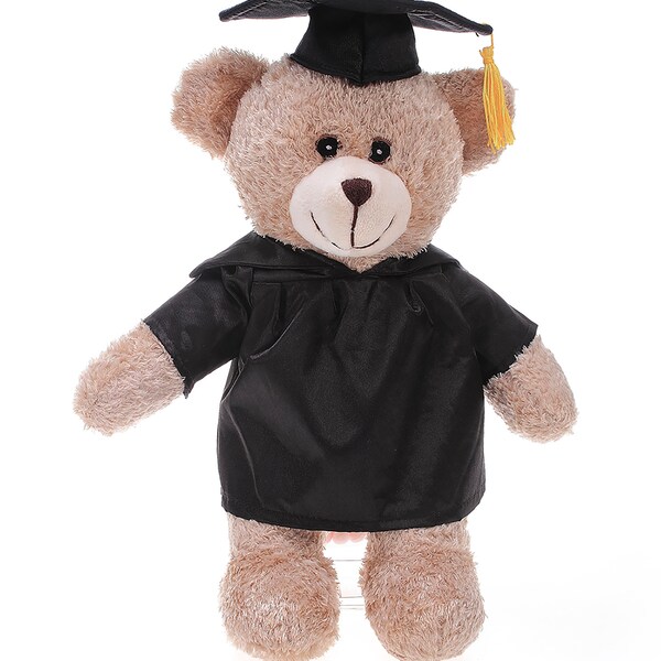 Peluche ours de remise des diplômes de 12 pouces pour le jour de la remise des diplômes, texte personnalisé, nom ou logo de votre école sur la robe