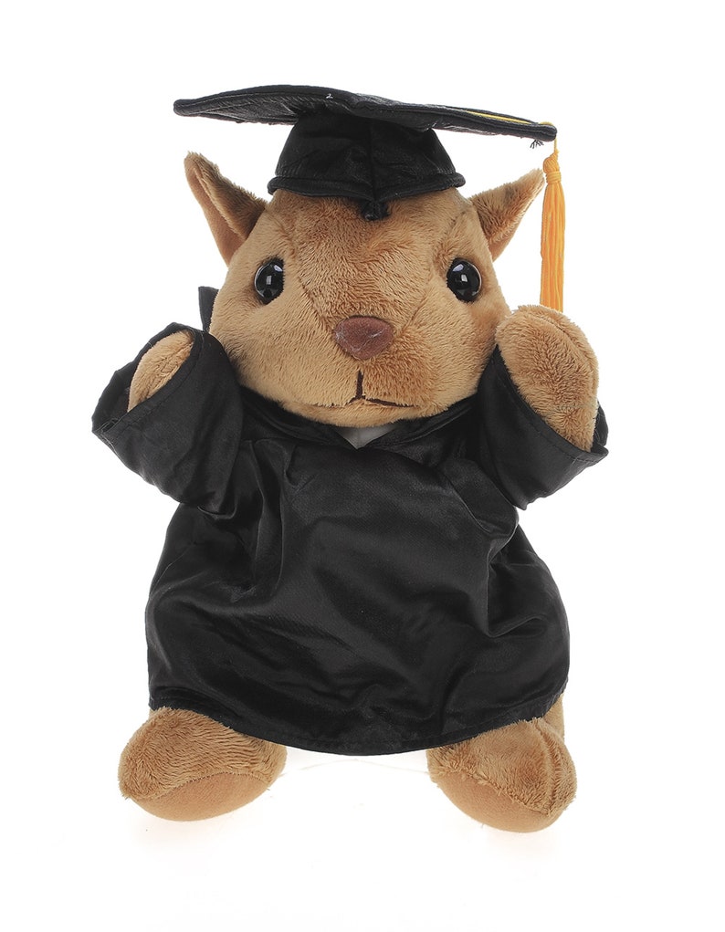 12 Inch Graduation Squirrel Stuffed Animal Toys for Graduation Day, Personalized Text, Name or Your School Logo on Gown Black