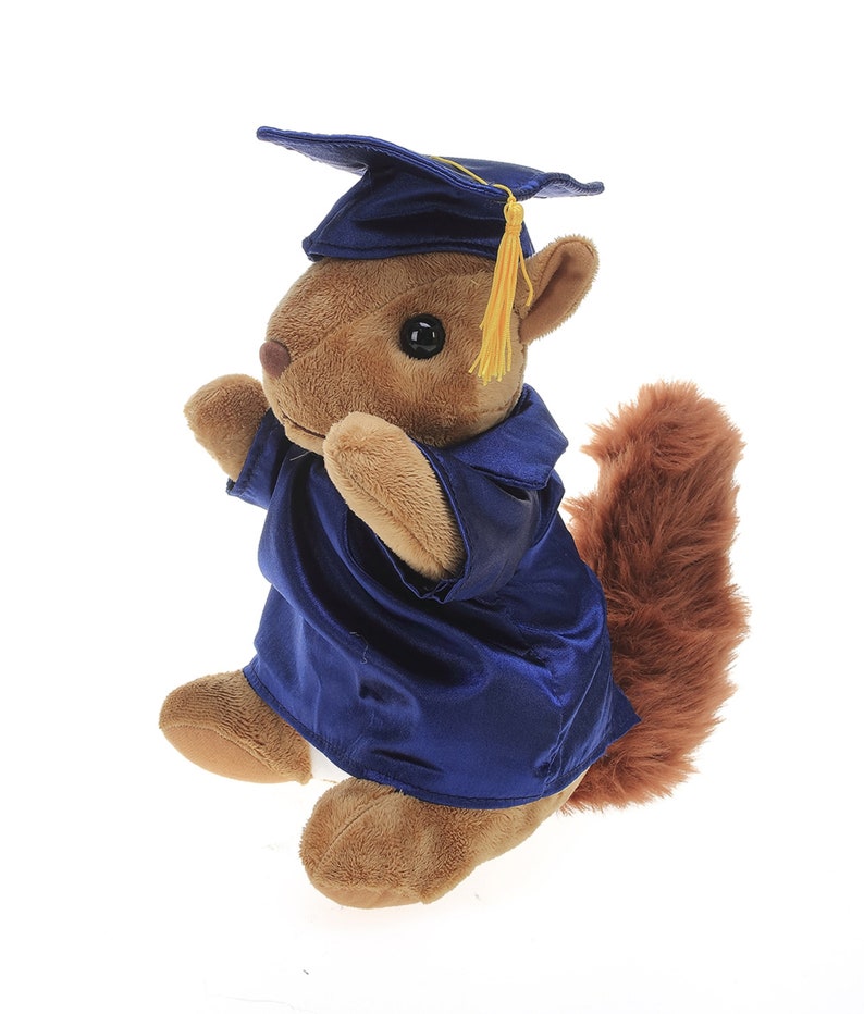 12 Inch Graduation Squirrel Stuffed Animal Toys for Graduation Day, Personalized Text, Name or Your School Logo on Gown image 6