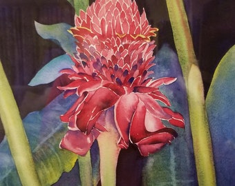 flor hawaiana
