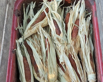 Three Dried Corn Ears- Cob,Silk and Husks - Dipped in Candle Wax and Rolled in Spices. For Fall Crafts and Decorations.