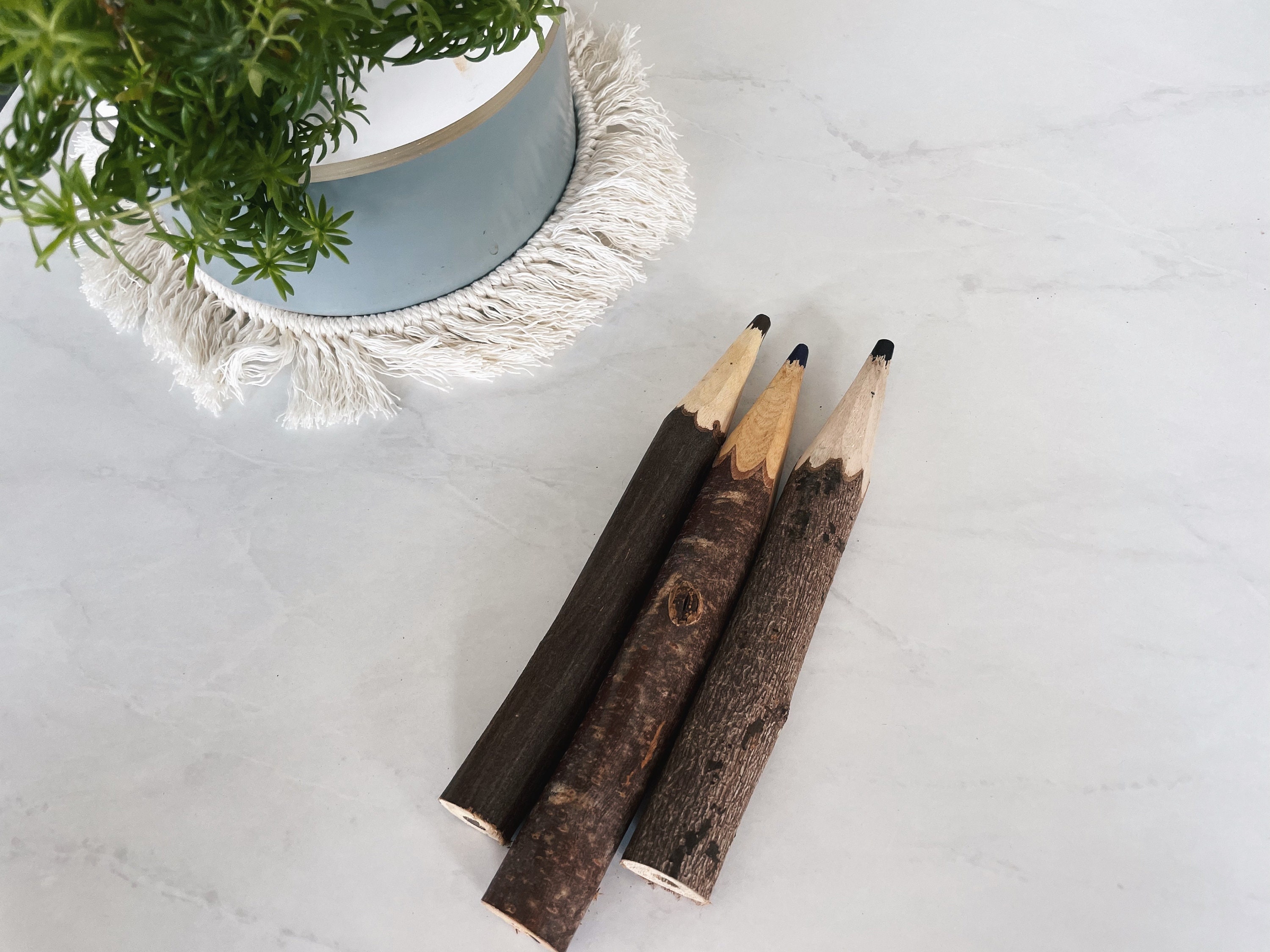 8 Twig Pencils SET OF 7 Colored Pencils Wood Pencils Etsy