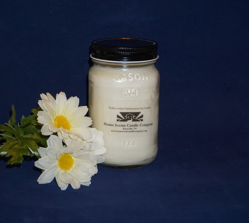 Cozy Cabin 16oz Soy Candle by Home Scents Candle Company