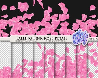 May include: Digital overlays featuring falling pink rose petals against a black background. The image includes the text "Falling Pink Rose Petals" and "Digital Petals Overlays" with dimensions of 9 x 12 inches and 300 DPI.