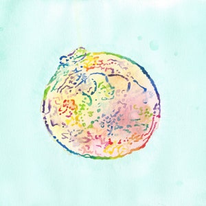 Custom IVF Embryo Watercolor, Sample Painting 1