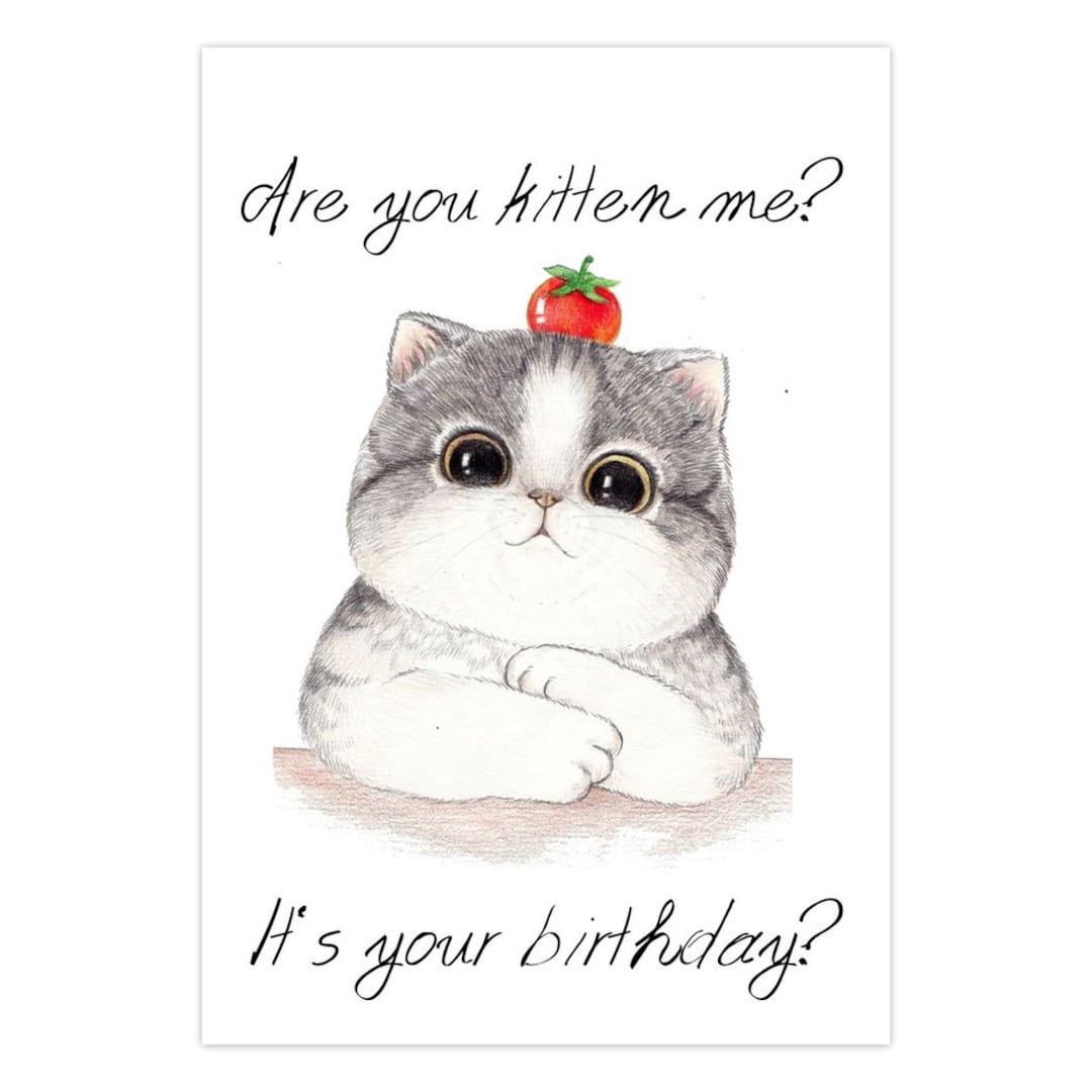 Funny Kitten Birthday Card - Etsy