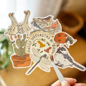 May include: A collection of nature-themed stickers featuring illustrations of birds, geese, a cactus, a ladybug, and a dragonfly. One sticker reads "Easily Distracted by Birds". The stickers are in various shapes and sizes, with a mix of colors.