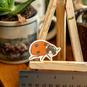 Peut inclure: Un autocollant de coccinelle orange et noir est pos&eacute; sur une structure en bois. Une r&egrave;gle affiche des mesures en centim&egrave;tres. La coccinelle mesure environ 2,5 cm de long.