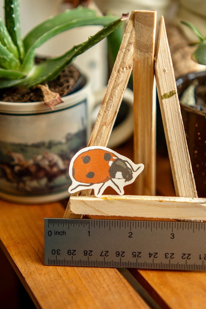 Peut inclure: Un autocollant de coccinelle orange et noir est pos&eacute; sur une structure en bois. Une r&egrave;gle affiche des mesures en centim&egrave;tres. La coccinelle mesure environ 2,5 cm de long.
