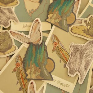 Zestaw 6 naklejek inspirowanych naturą | Vintage Polaroid | Pstrąg + Modraszka | | Odporne na warunki atmosferyczne | Outdoors, Granola Girl, Inspirowane naturą