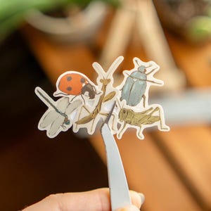 May include: A cluster of insect-themed stickers, including a ladybug, dragonfly, beetle, grasshopper, and praying mantis. The stickers are held by a pair of tweezers. The ladybug is red with black spots, and the beetle is light blue.