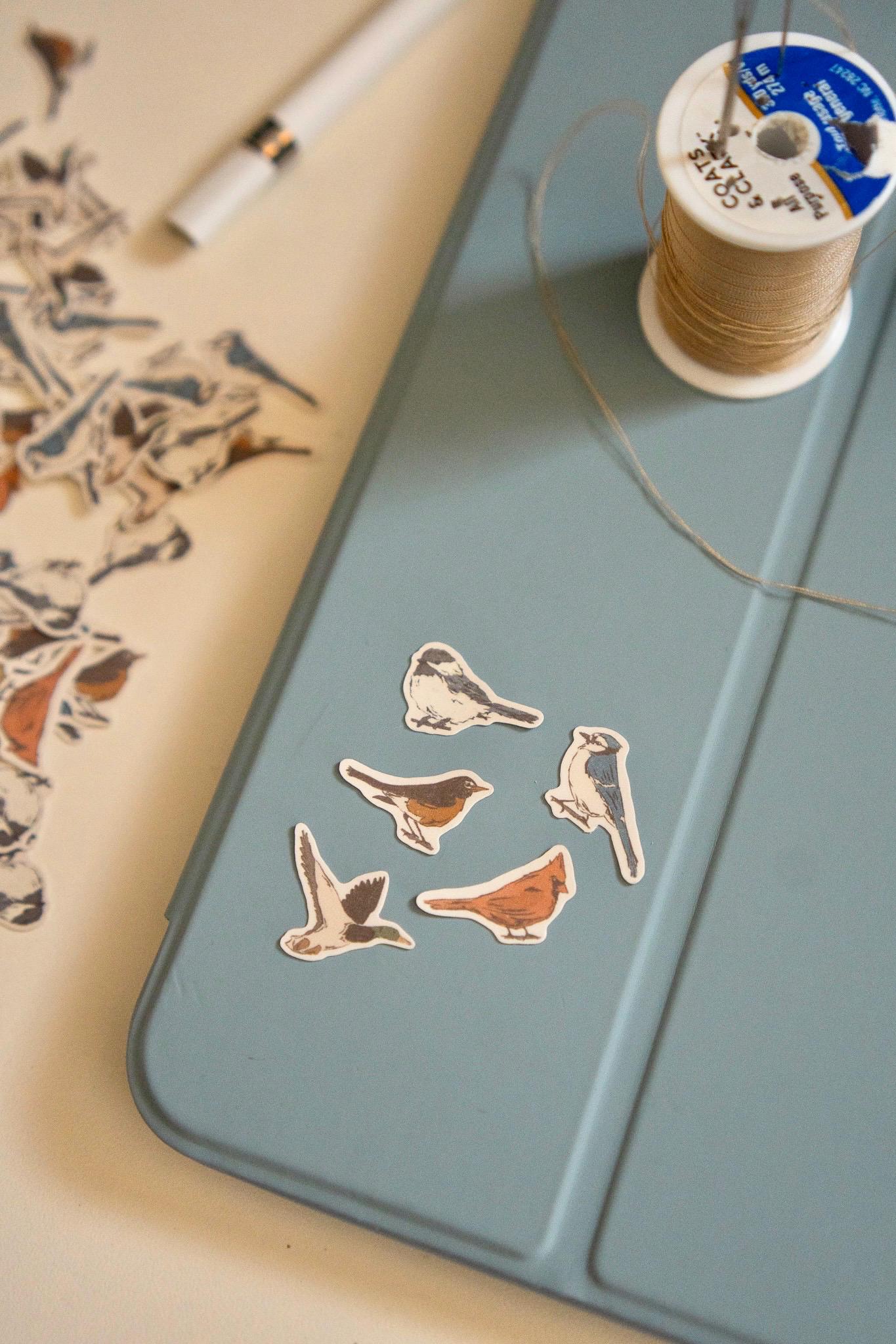Tiny Bird Sticker Pack of 5 | Waterproof Outdoorsy Granola Girl ...