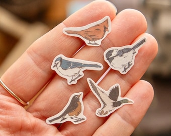 Paquete de 5 pegatinas de pájaros diminutos / Pegatinas impermeables de chica granola para actividades al aire libre / Inspiradas en la naturaleza: arrendajo azul, cardenal y ánade real