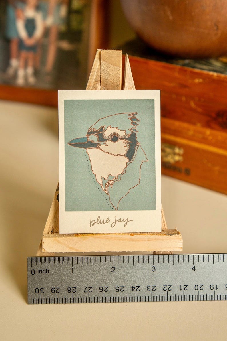 May include: An illustration of a blue jay bird on a light blue background with the text "blue jay" written in cursive below the bird.