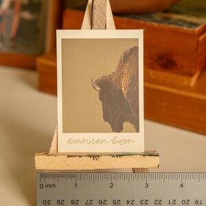 May include: A close-up of a vintage-style print of an American bison, mounted on a small wooden easel. The print is on a cream-coloured background with the text "american bison" written in cursive below the image.