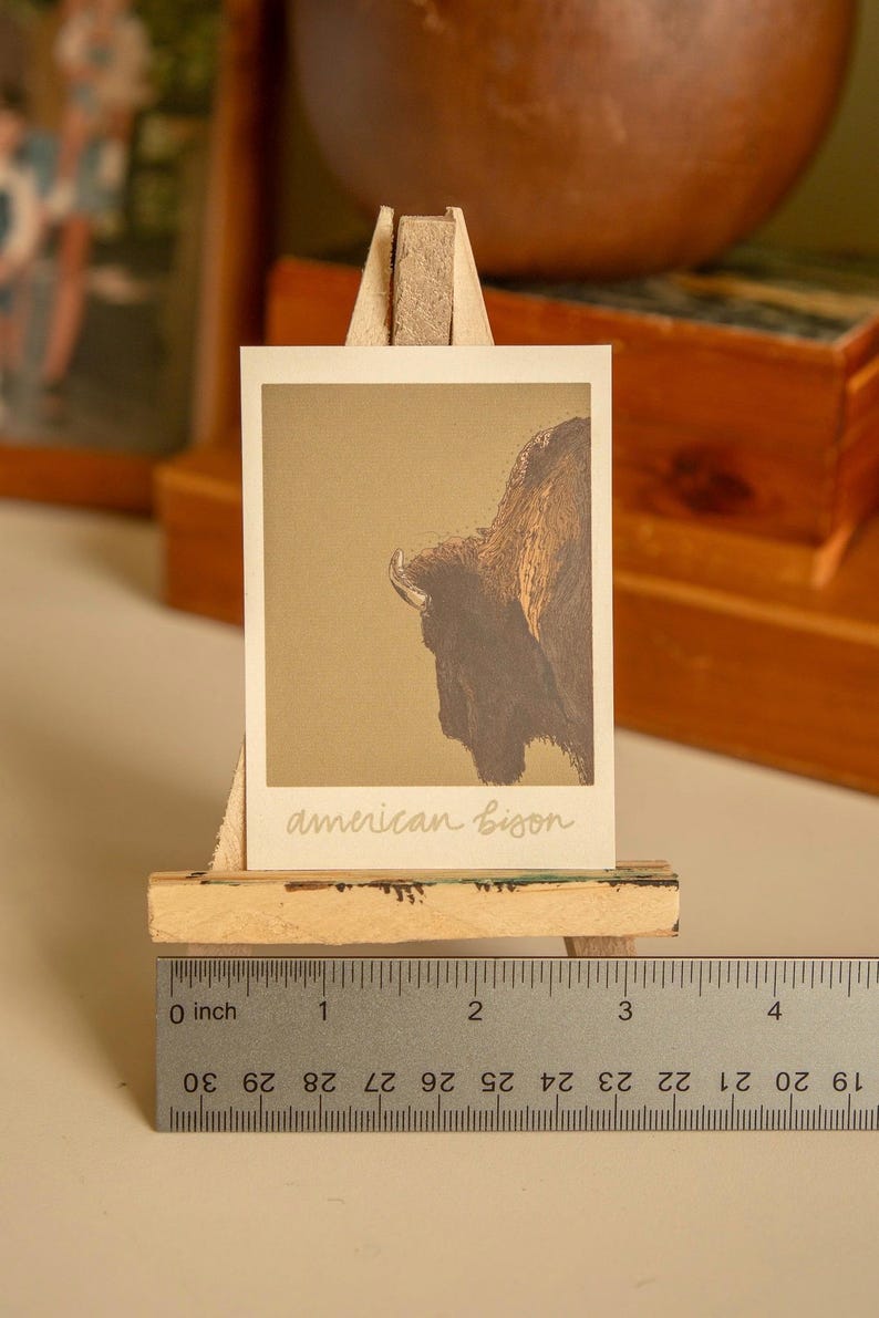 May include: A close-up of a vintage-style print of an American bison, mounted on a small wooden easel. The print is on a cream-coloured background with the text "american bison" written in cursive below the image.