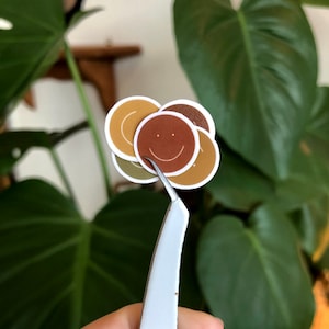 Puede incluir: Un conjunto de cuatro pegatinas con caritas sonrientes en varios tonos de marrón, naranja y amarillo. Las pegatinas están sujetas por unas pinzas.