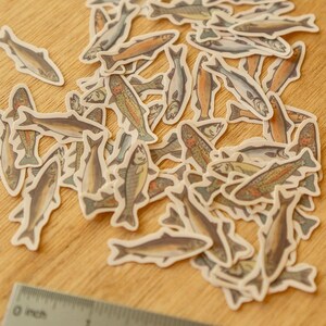 May include: A collection of fish-shaped stickers in various colors, including brown, orange, and gray, scattered on a wooden surface. A ruler is visible in the foreground, with measurements in inches.