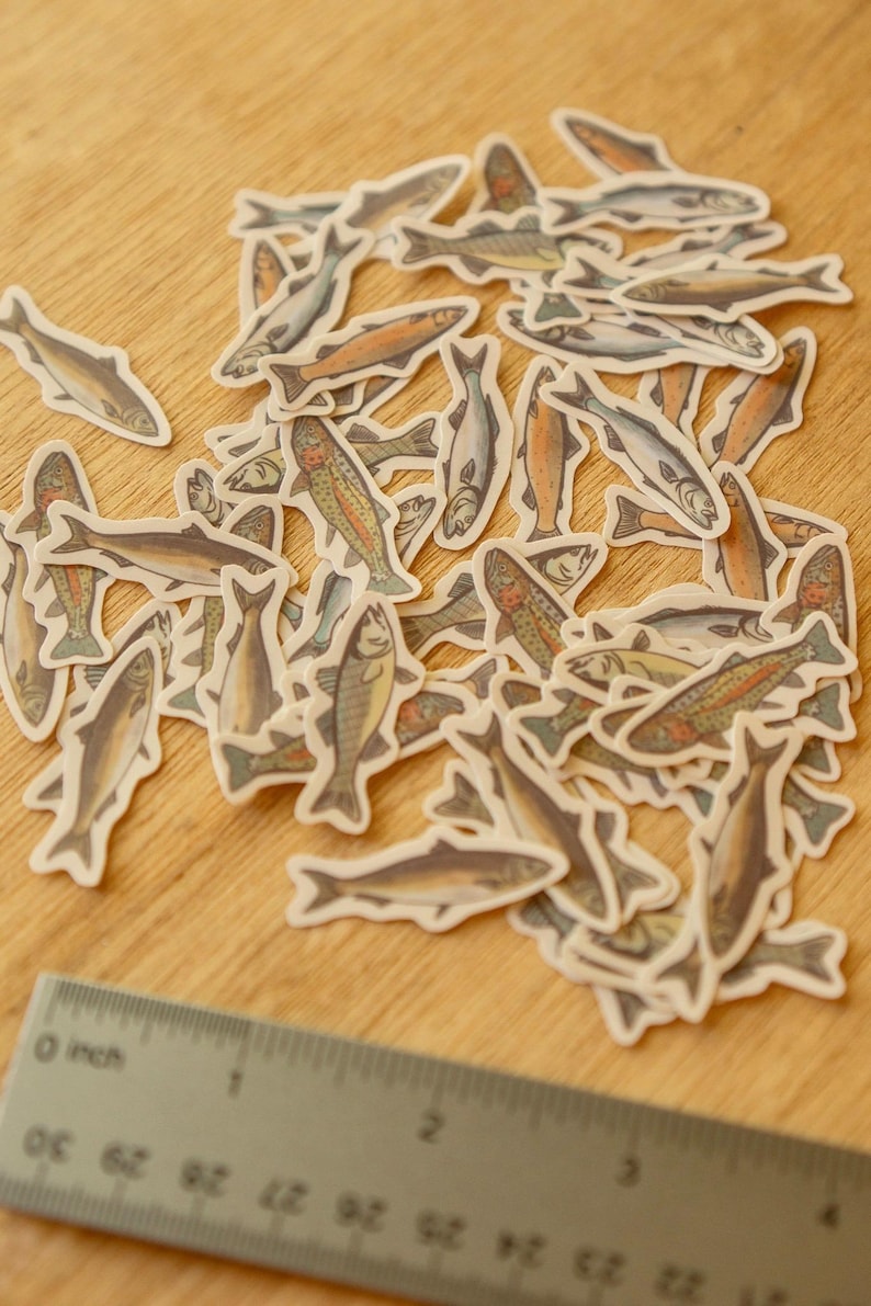 May include: A collection of fish-shaped stickers in various colors, including brown, orange, and gray, scattered on a wooden surface. A ruler is visible in the foreground, with measurements in inches.