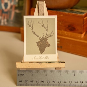 May include: A brown and white illustration of a bull elk head with large antlers on a light green background. The illustration is printed on a card and displayed on a small wooden easel. The card has the text "bull elk" written in cursive on the bottom.