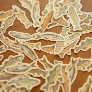 May include: A collection of fish-shaped stickers in various colors, including orange, blue, and yellow, are scattered on a wooden surface. The stickers have a vintage, hand-drawn aesthetic, with detailed illustrations of different fish species.