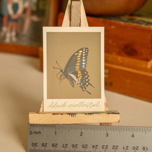 May include: A close-up of a printed card featuring a black swallowtail butterfly with yellow and blue markings on a brown background. The card is on a wooden easel with a ruler below it. The ruler is marked in inches.