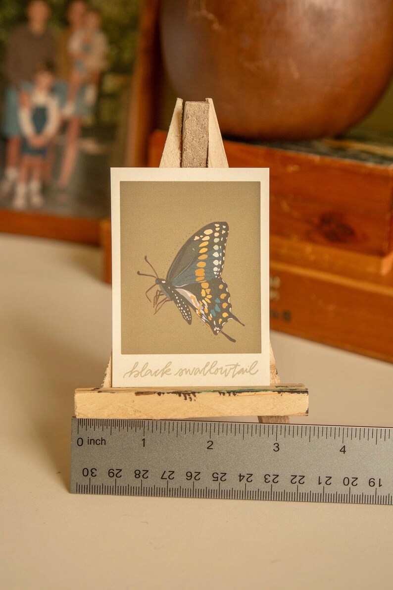 May include: A close-up of a printed card featuring a black swallowtail butterfly with yellow and blue markings on a brown background. The card is on a wooden easel with a ruler below it. The ruler is marked in inches.