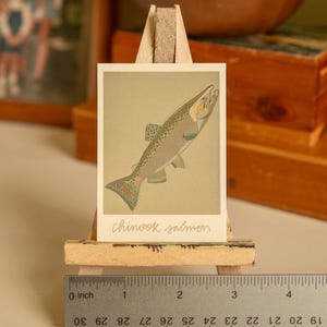 May include: A close-up of a printed card featuring a detailed illustration of a Chinook salmon, with the text "chinook salmon" written below the image. The card is displayed on a small wooden easel.