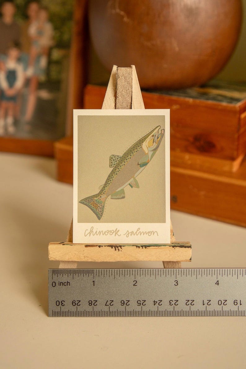 May include: A close-up of a printed card featuring a detailed illustration of a Chinook salmon, with the text "chinook salmon" written below the image. The card is displayed on a small wooden easel.